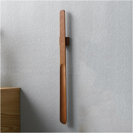 Magnetic Shoehorn